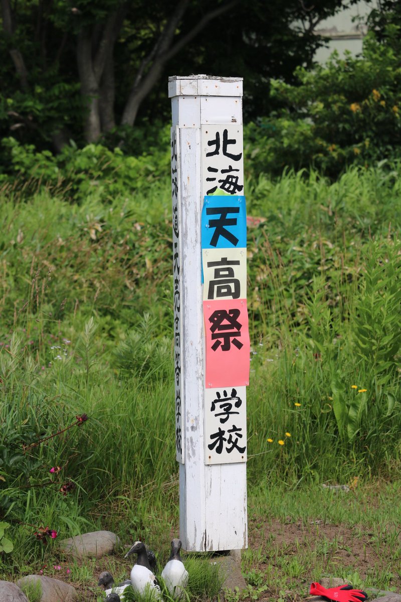 ふくろうさん tweet media