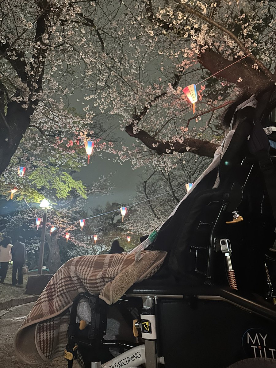 シマ@レインとエテは世界一【合同会社ねこあらし】 tweet media