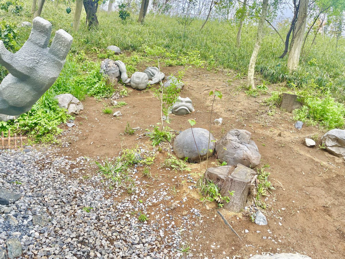 笑晴れもん🍋🌞 tweet media