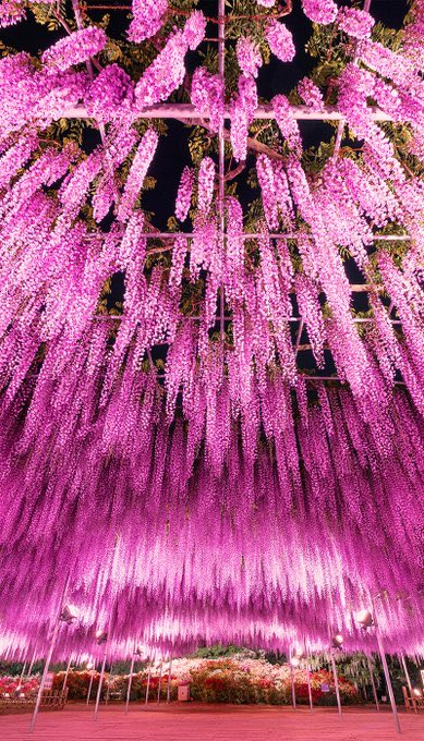 極上の旅図鑑 tweet media