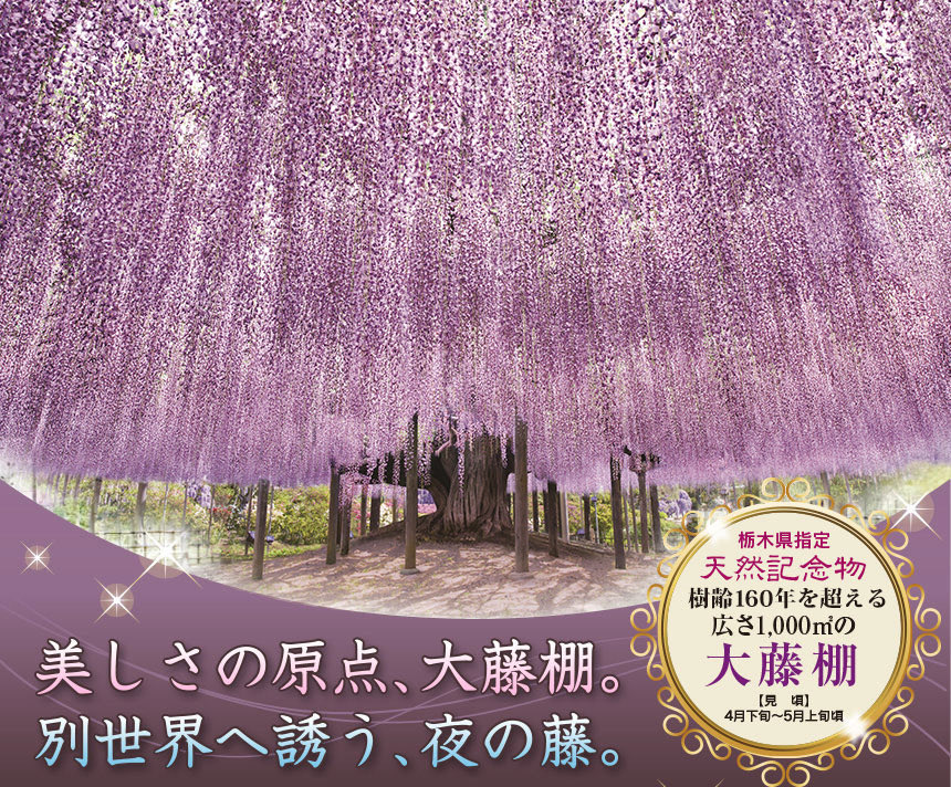 極上の旅図鑑 tweet media