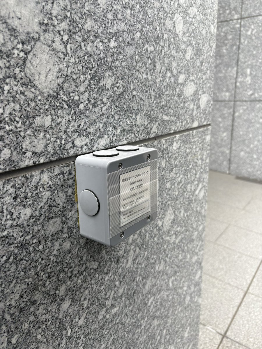 スリーピングフォレスト🎸 tweet media