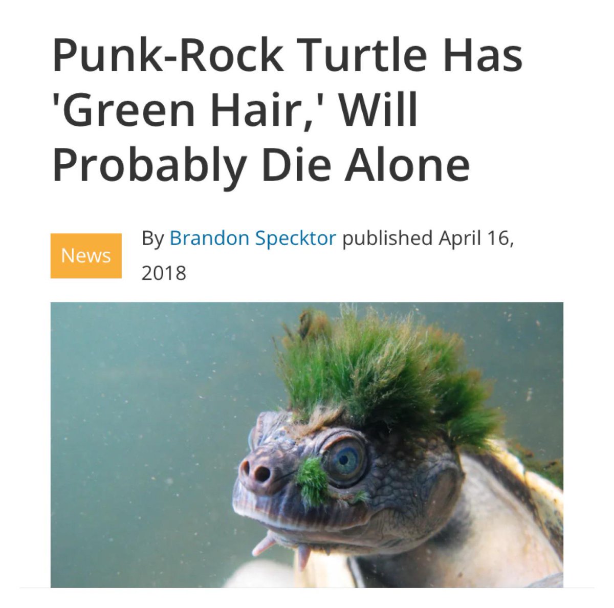 Images That Make You Feel Pain tweet media