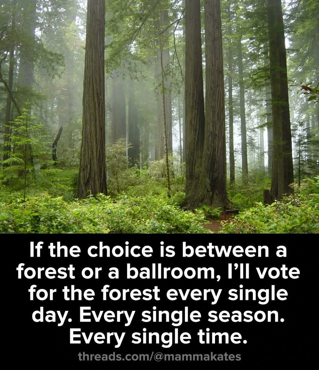 Why would <a href="/POTUS/">President Donald J. Trump</a> opt to kill the forests?