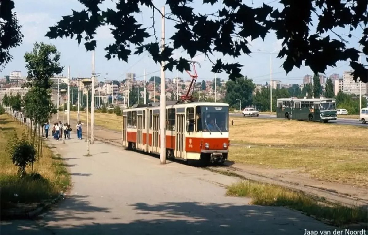 Noblesse oblige...🍀 tweet media