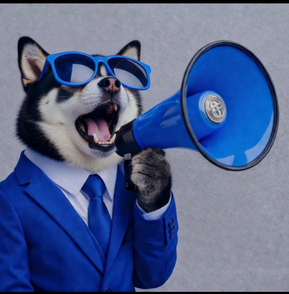 tibor.sui tweet media