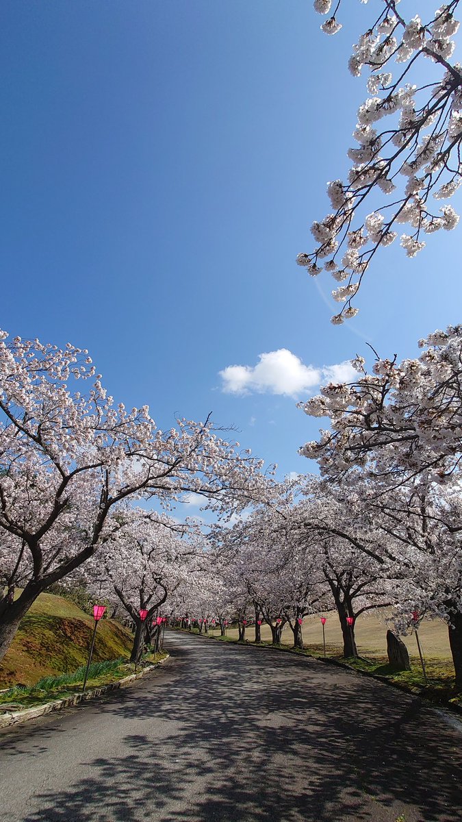 星の観察館「満天星」 tweet media