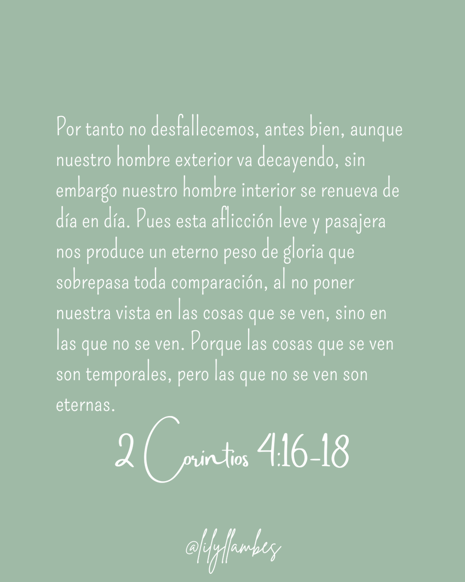 Lily Llambés tweet media