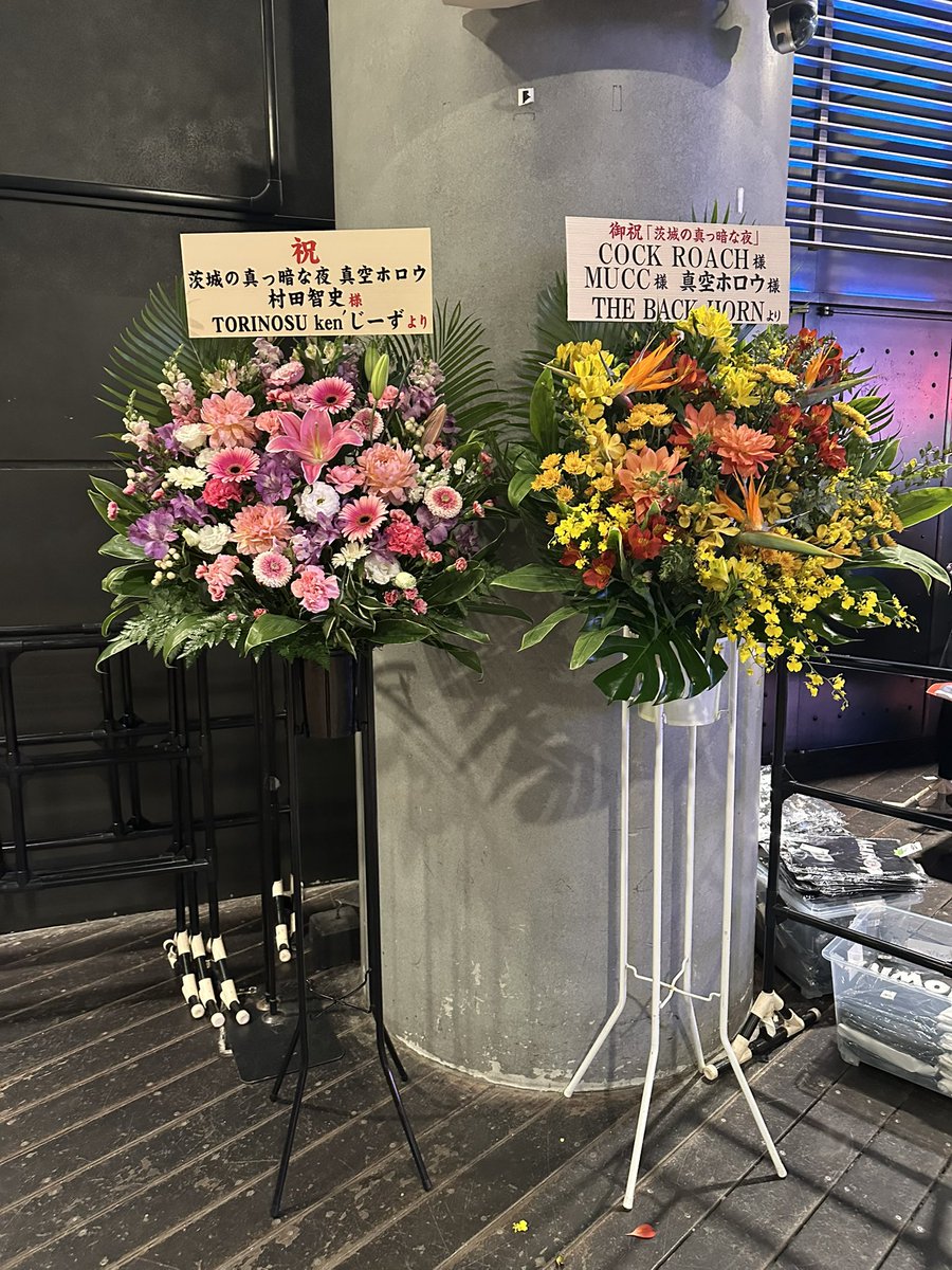 obuhnp's tweet photo. 先週5億年ぶりにサイコを生で聴いたし首も痛くならなかったし、大勝利！真空ホロウ最後まで見れなかったの心残り… https://t.co/v8RPnpHcBS