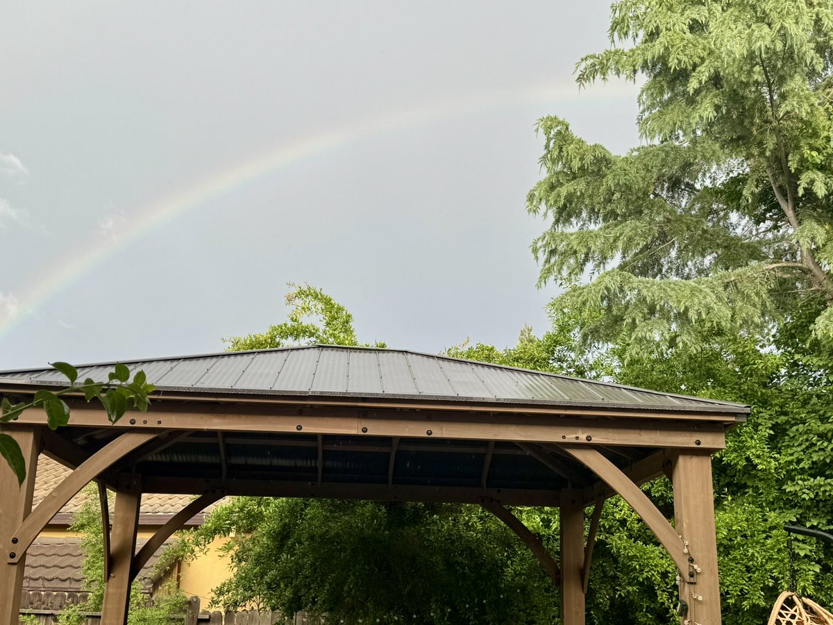 साधना(Sadhana) tweet media