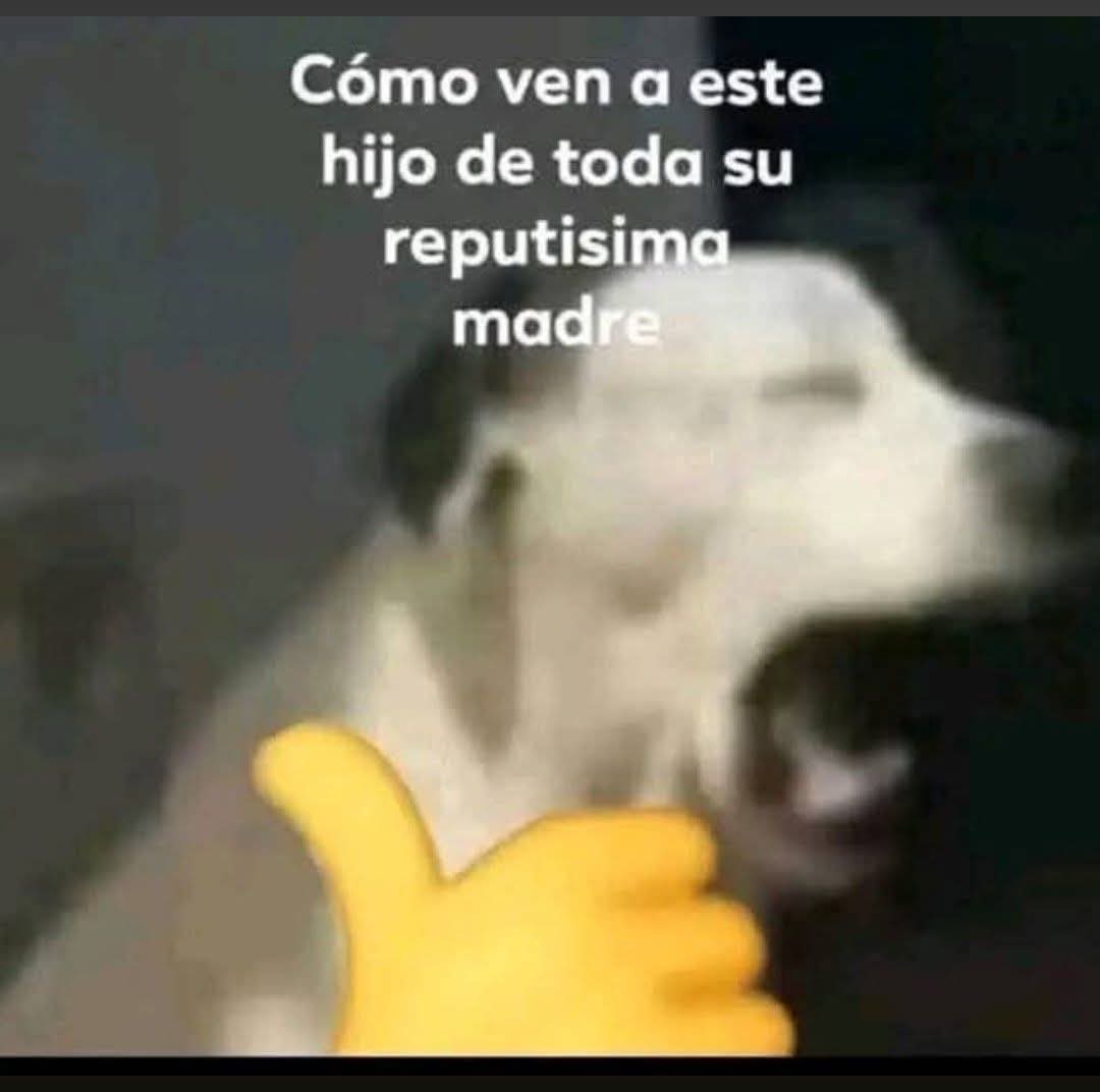 Joserac24 tweet media