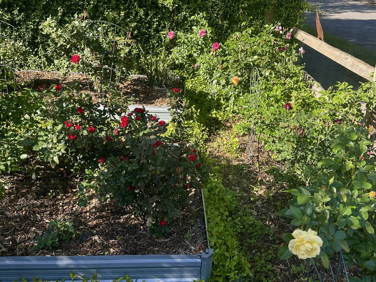 Patrick Skinner tweet media