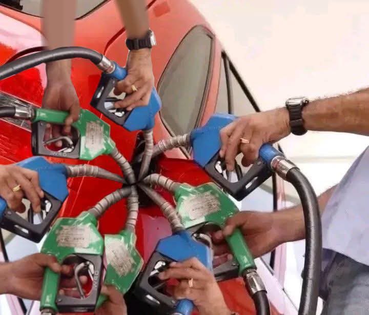 Bruno ⚙️ tweet media