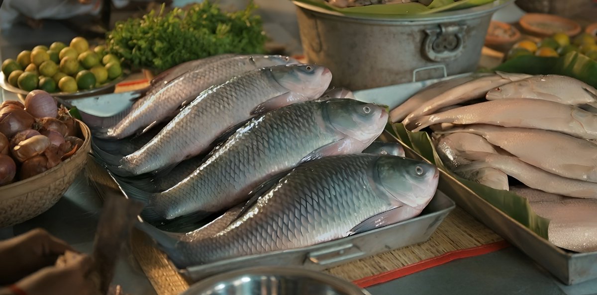 KuchHogaJaneDo's tweet image. #projapoti2 amidst violence and gore something simple and heart touching...amazing acting🔥