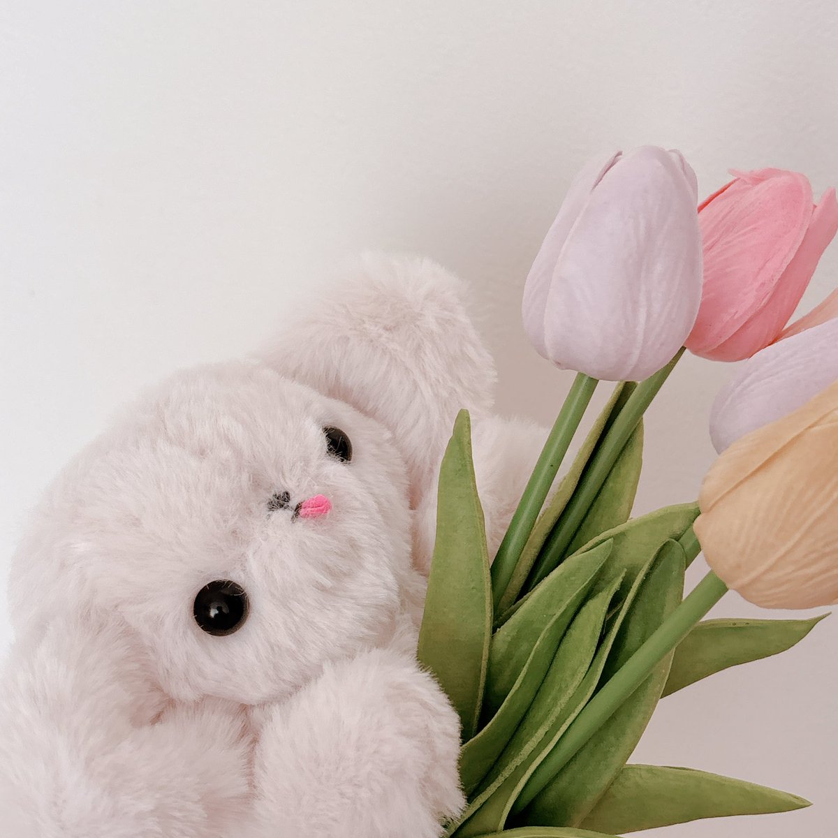 🌷