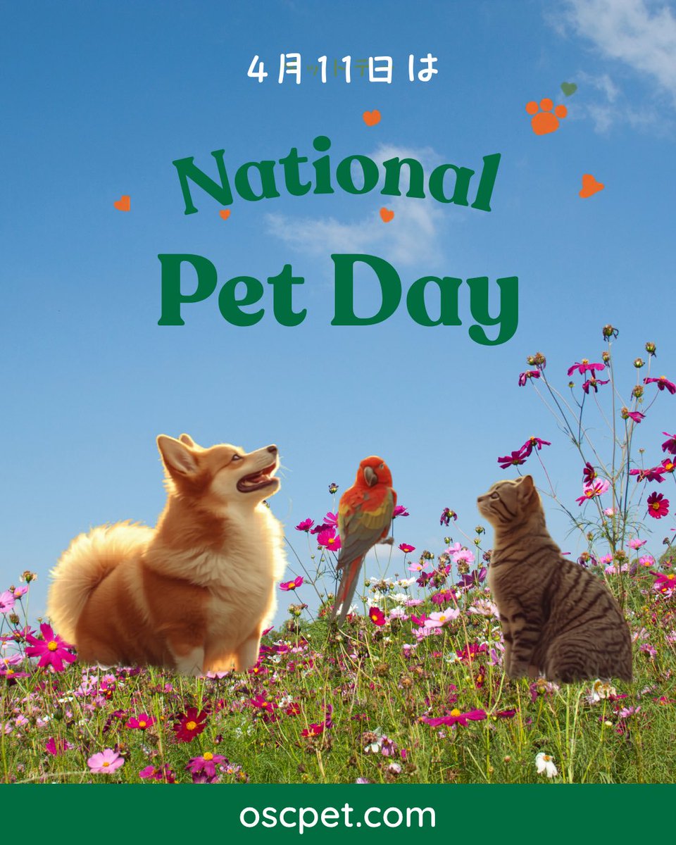 OSCpetproducts's tweet photo. 4月11日はナショナルペットデー🐾
しっぽの家族たちに、改めて感謝を伝える日です。
弊社は、「健やかな毎日」を支えるパートナーとして、これからも品質と信頼にこだわった製品をお届けしてまいります。
#ナショナルペットデー #ペットとの暮らし #犬のいる生活 #猫のいる生活 #OSCペットプロダクツ https://t.co/1Z9ELlxJI2