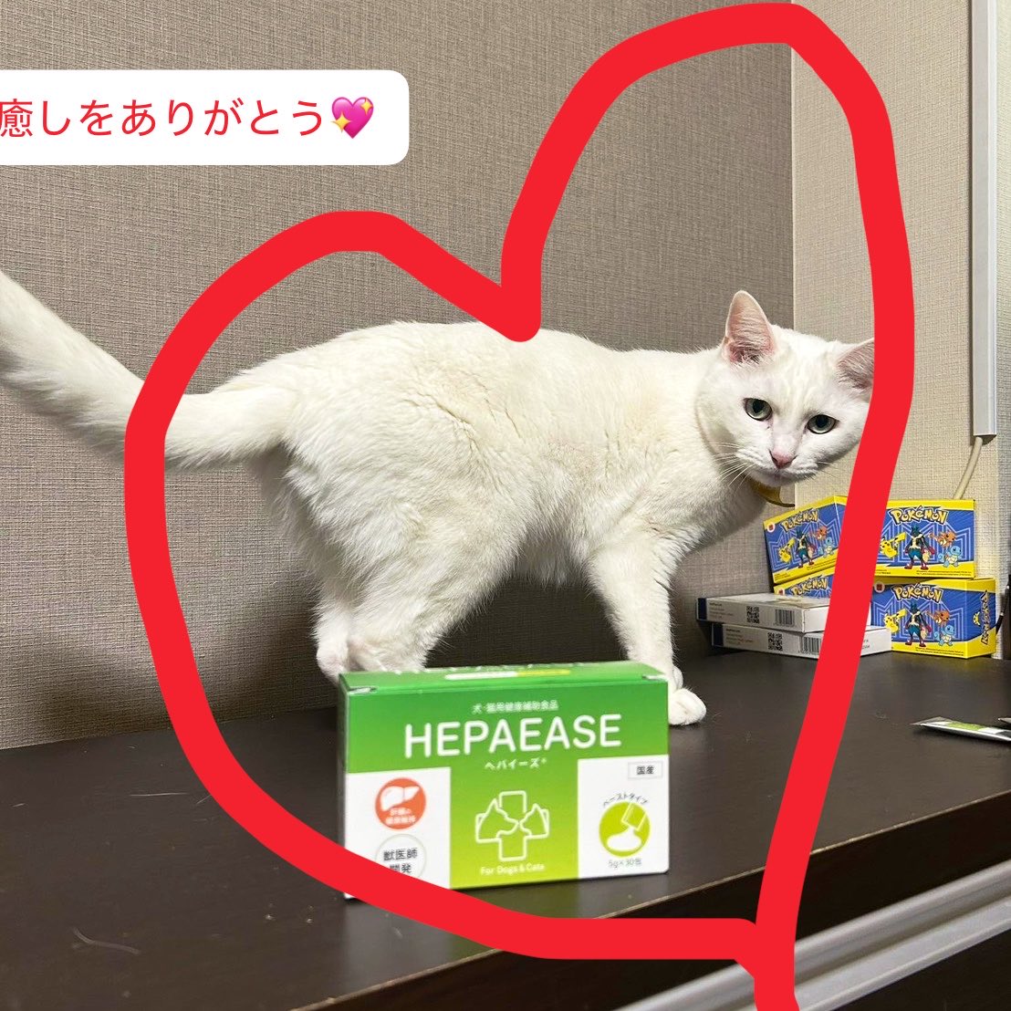 OSCpetproducts's tweet photo. 4月11日はナショナルペットデー🐾
しっぽの家族たちに、改めて感謝を伝える日です。
弊社は、「健やかな毎日」を支えるパートナーとして、これからも品質と信頼にこだわった製品をお届けしてまいります。
#ナショナルペットデー #ペットとの暮らし #犬のいる生活 #猫のいる生活 #OSCペットプロダクツ https://t.co/1Z9ELlxJI2