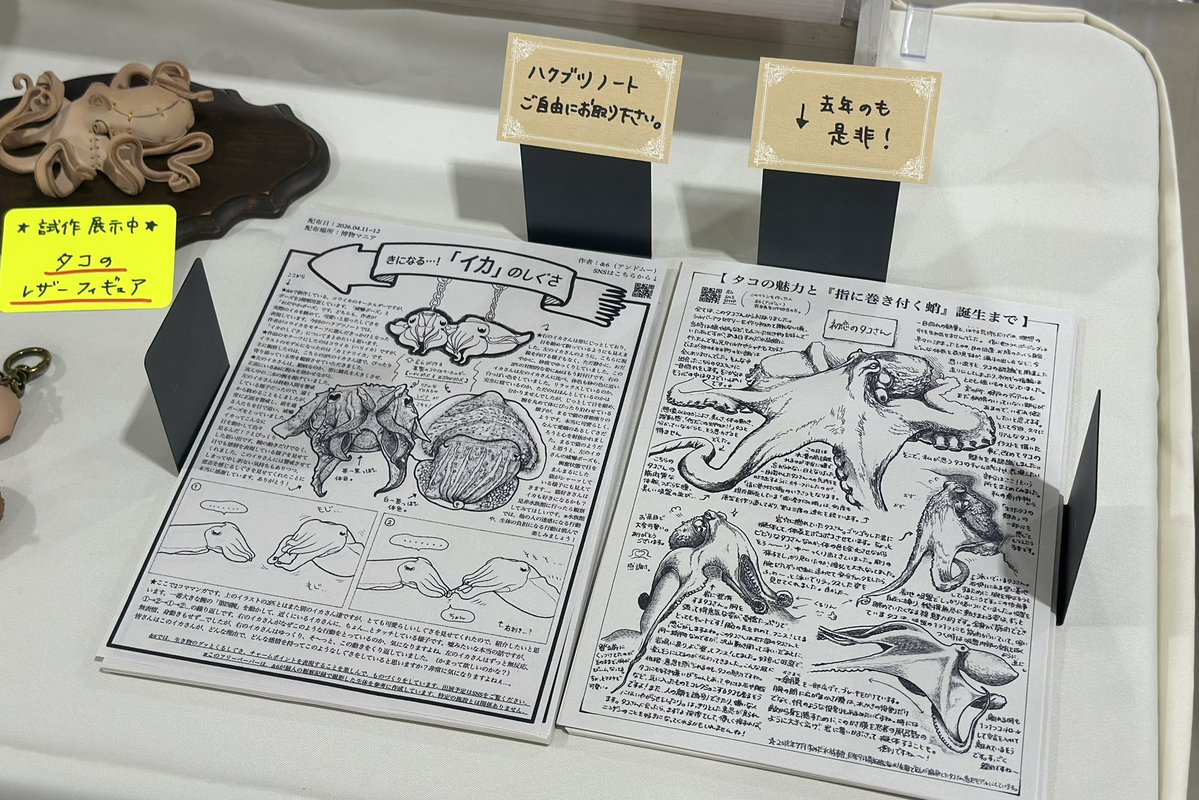 &6(アンドムー)◉デザフェス63／M-174 tweet media