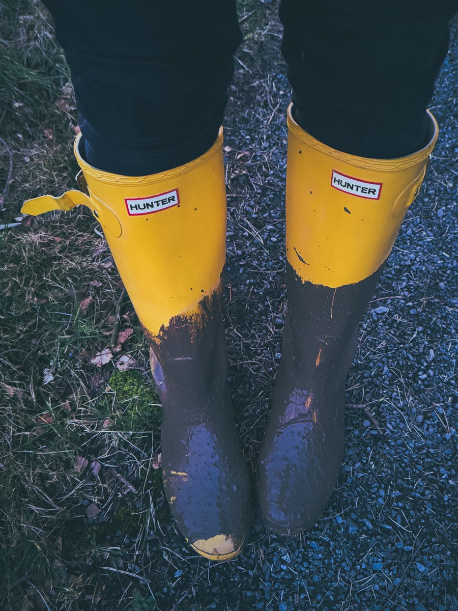 OutInMyHunters's tweet photo. Some recent walks.
#hunterboots https://t.co/LlcLHeTmdQ
