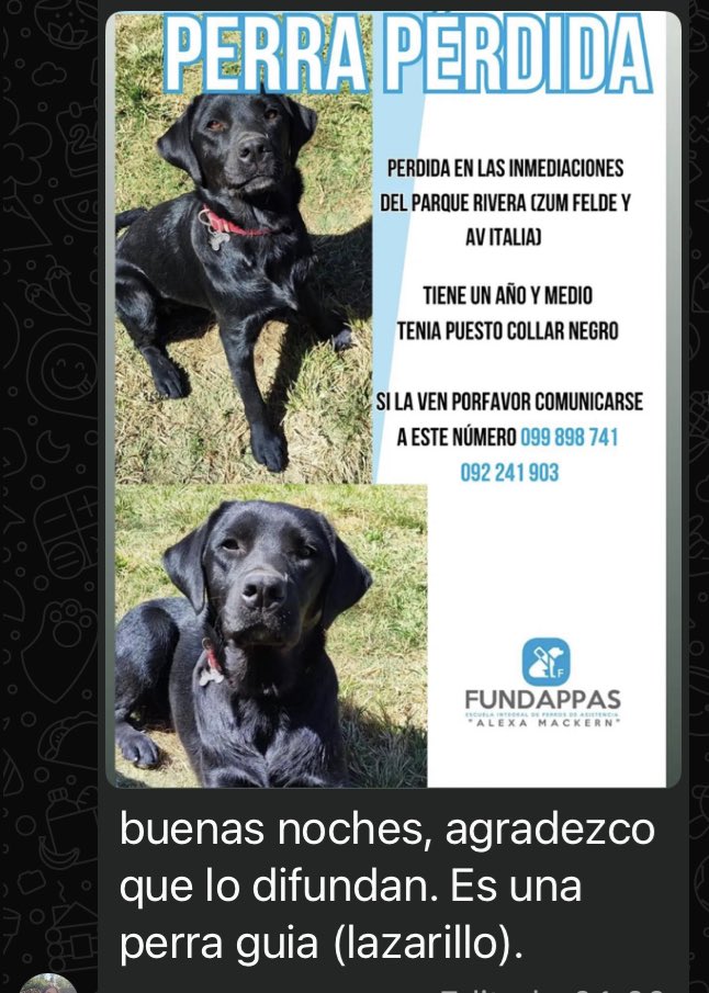 🚨🚨🚨🚨🚨🚨🚨🚨🚨🚨🚨