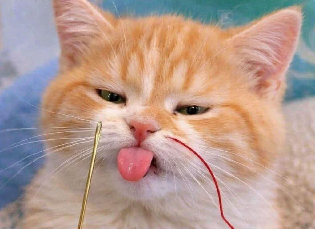 - Mi mamá: ponle hilo a la aguja, tú que ves mejor.
- Yo