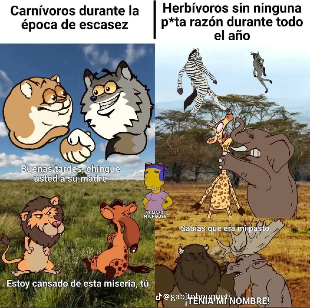 Deoz Hielos #Loneros🏴‍☠️☢️ tweet media