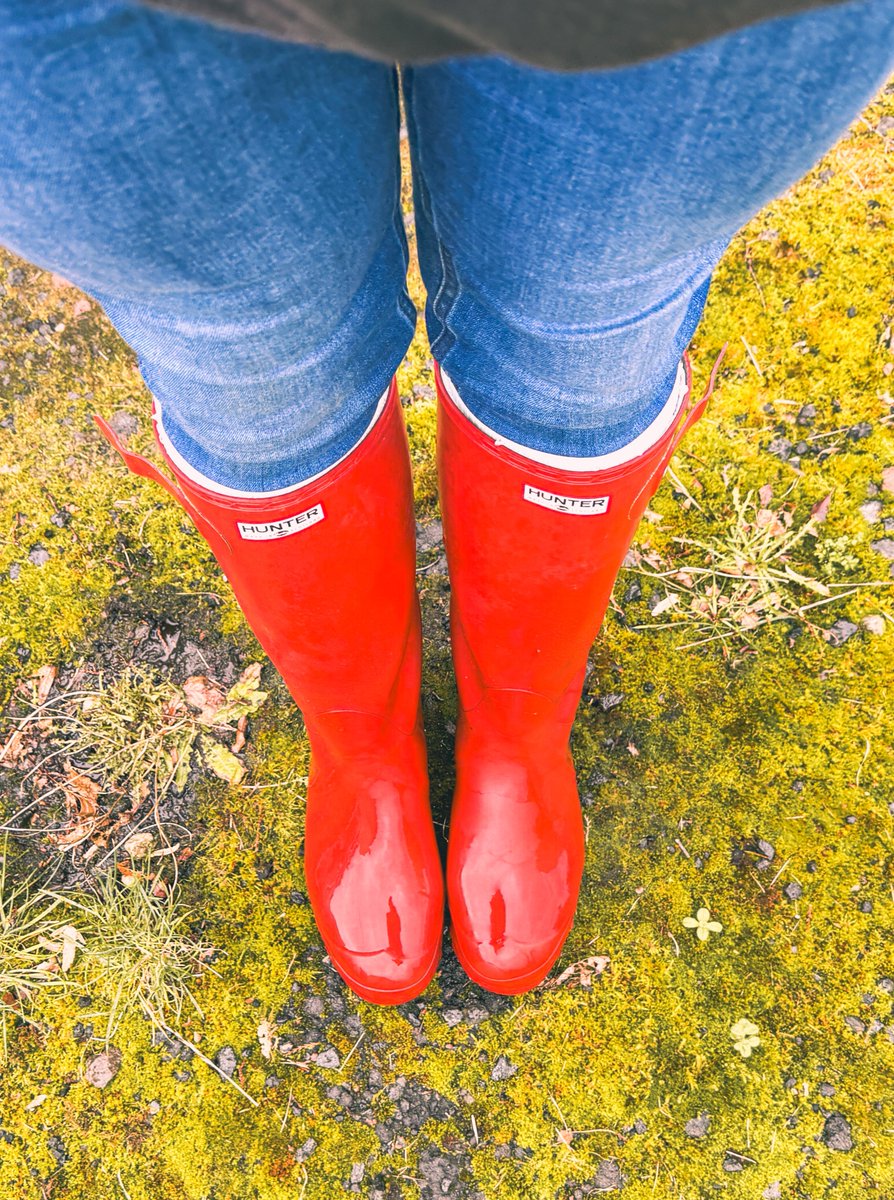 OutInMyHunters's tweet photo. Some recent walks.
#hunterboots https://t.co/LlcLHeTmdQ