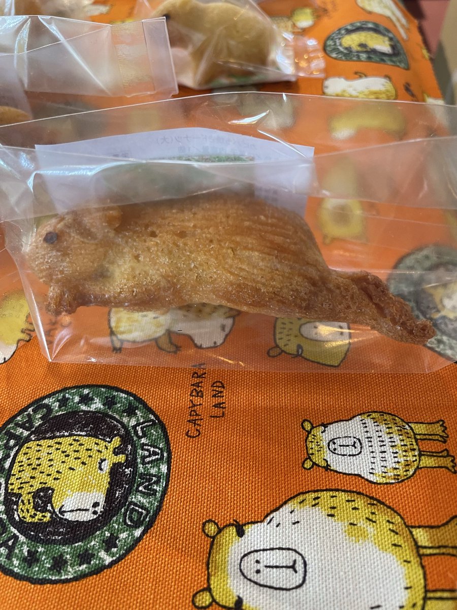 にゅうとらる@八菓堂 tweet media