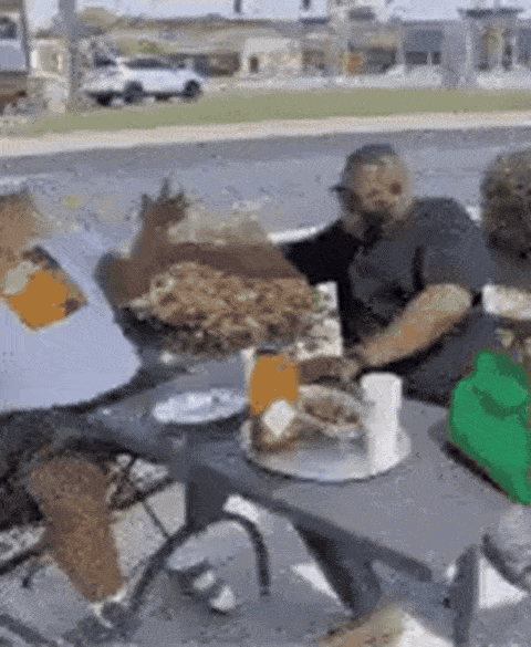 akitachie tweet media