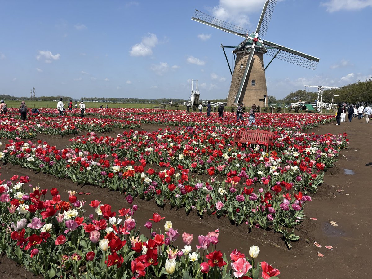 ナカダイ｜WWS認定ライター@中小企業診断士勉強中 tweet media