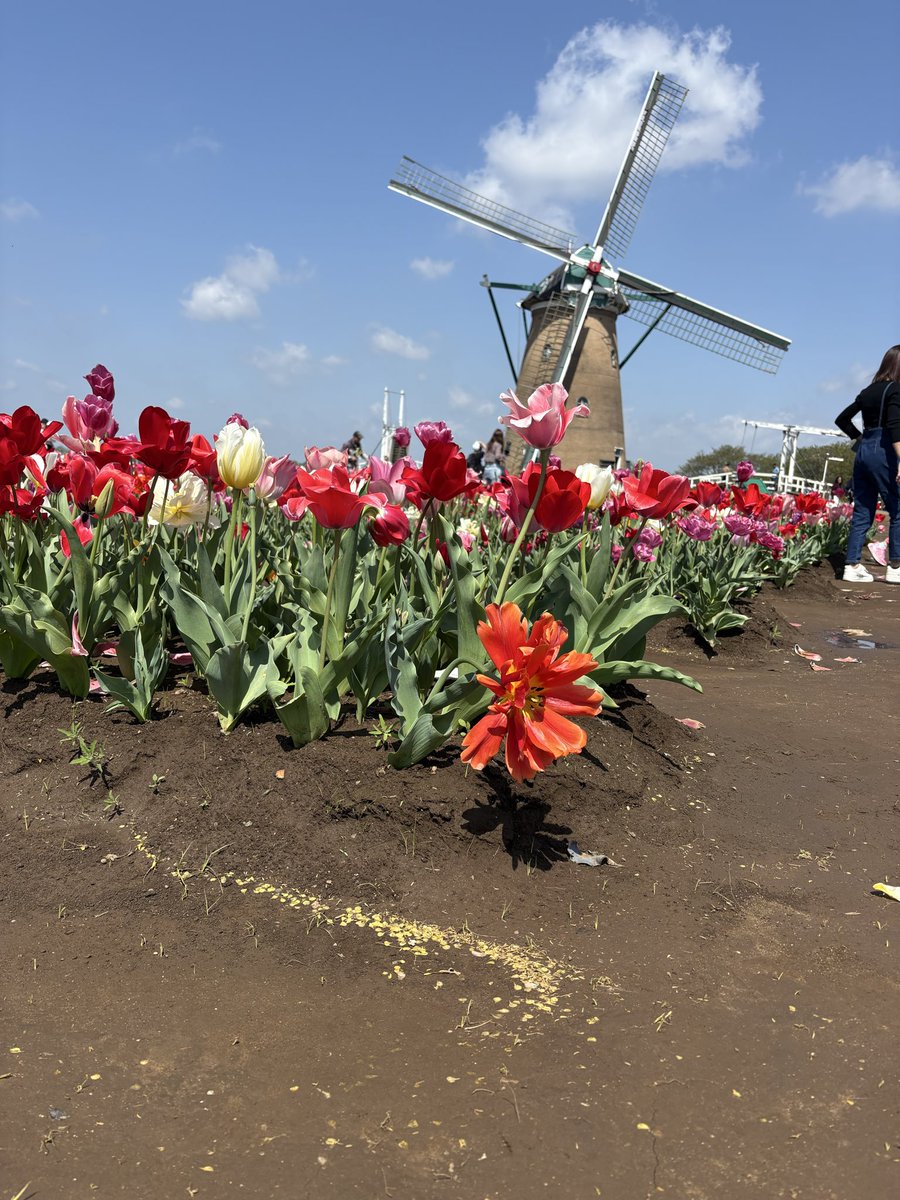 ナカダイ｜WWS認定ライター@中小企業診断士勉強中 tweet media