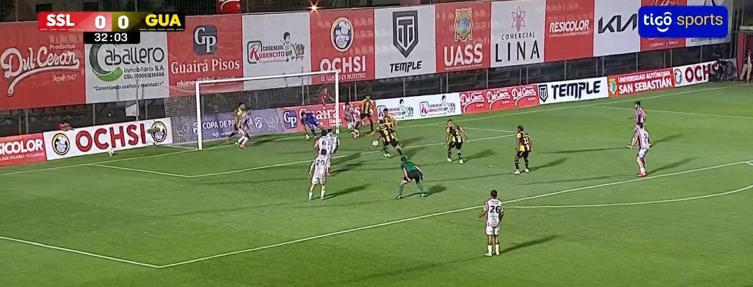 SangreAurinegra tweet media