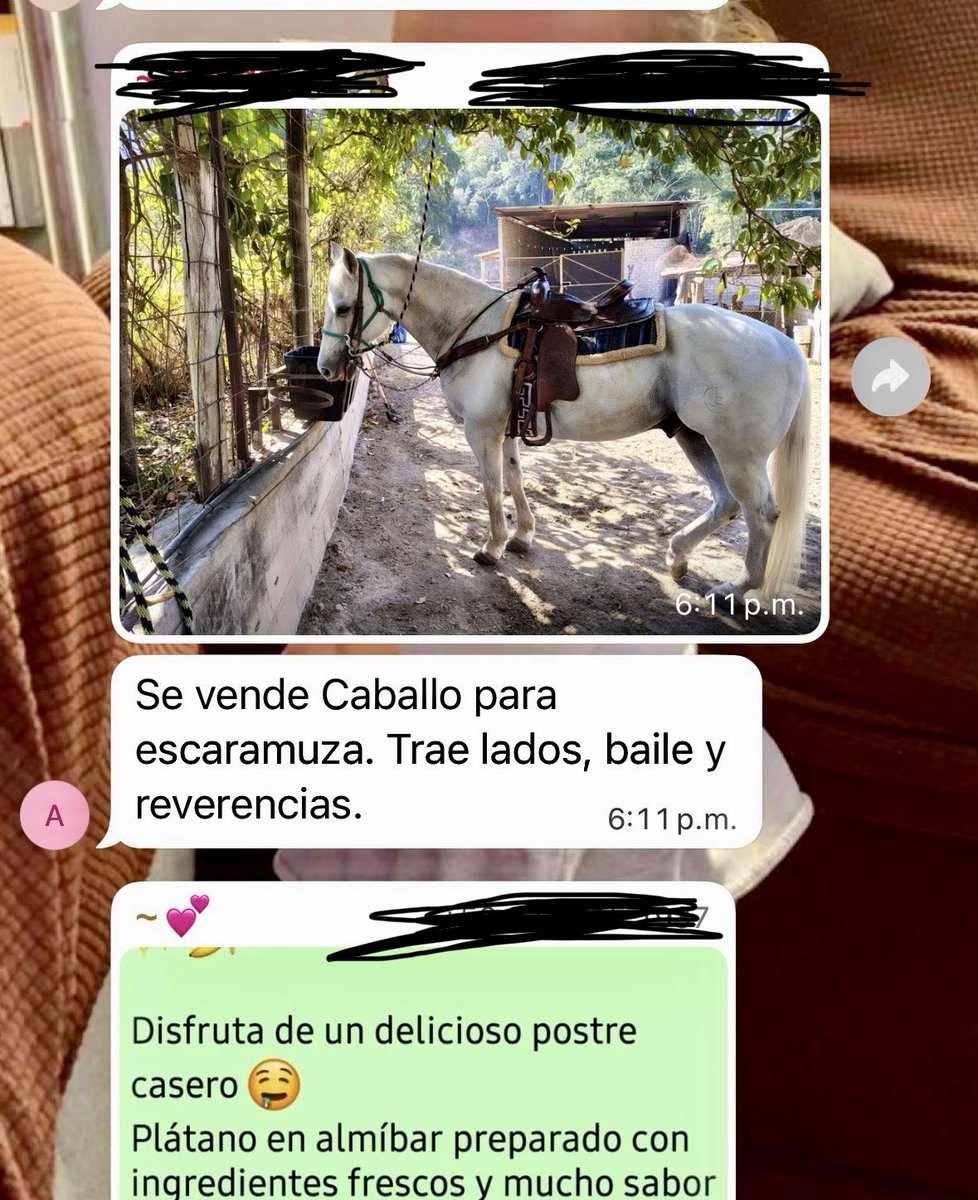 EseDelRadio's tweet photo. -Qué tan ranchito es Vallarta? 
-pues… 

¿Qué cosas preguntarías? https://t.co/zHGzBSz1gu