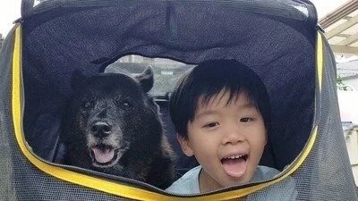 おーもと tweet media