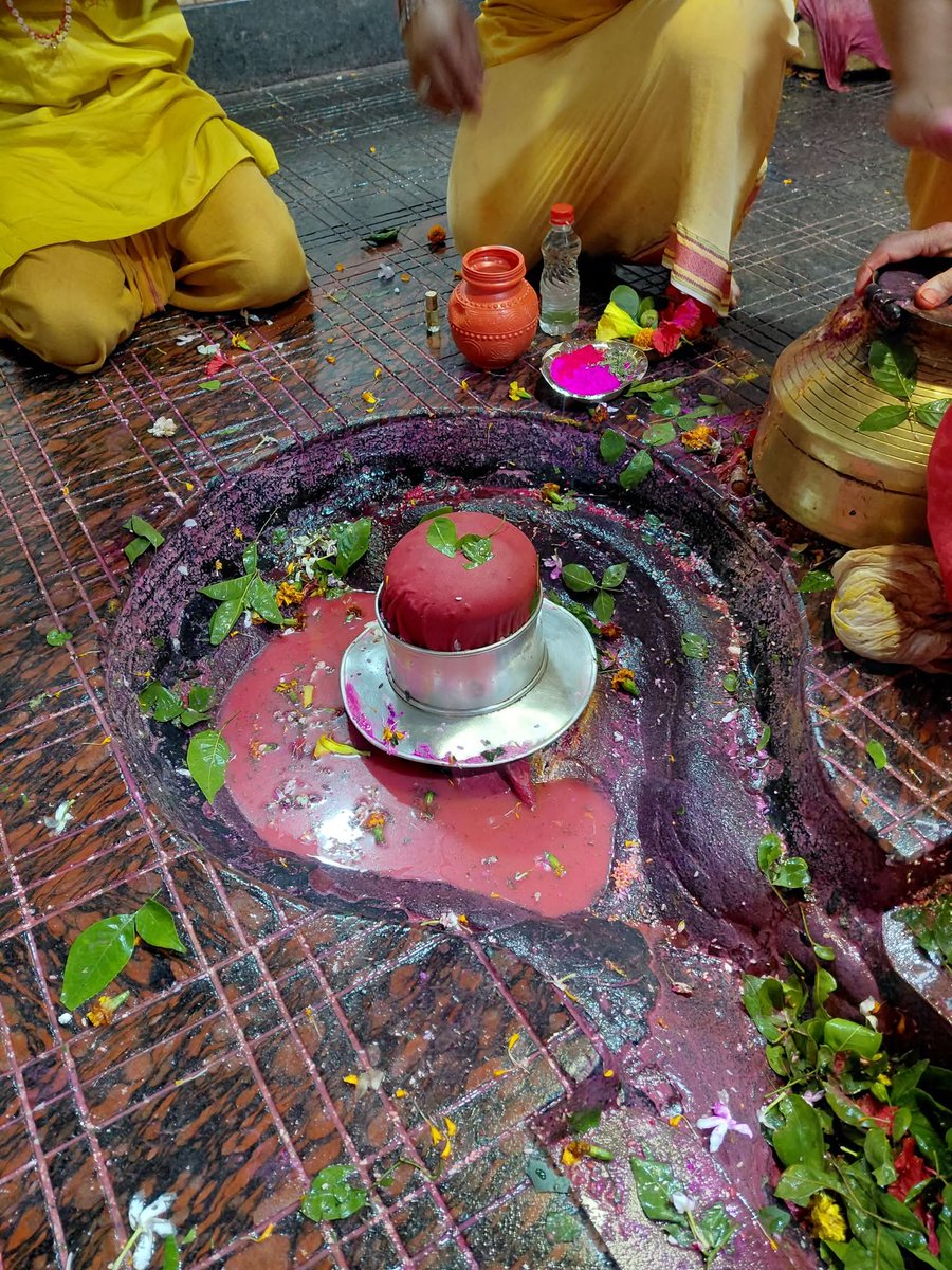 Riya_Singh_Bhumihar 🚩🌿✨ tweet media