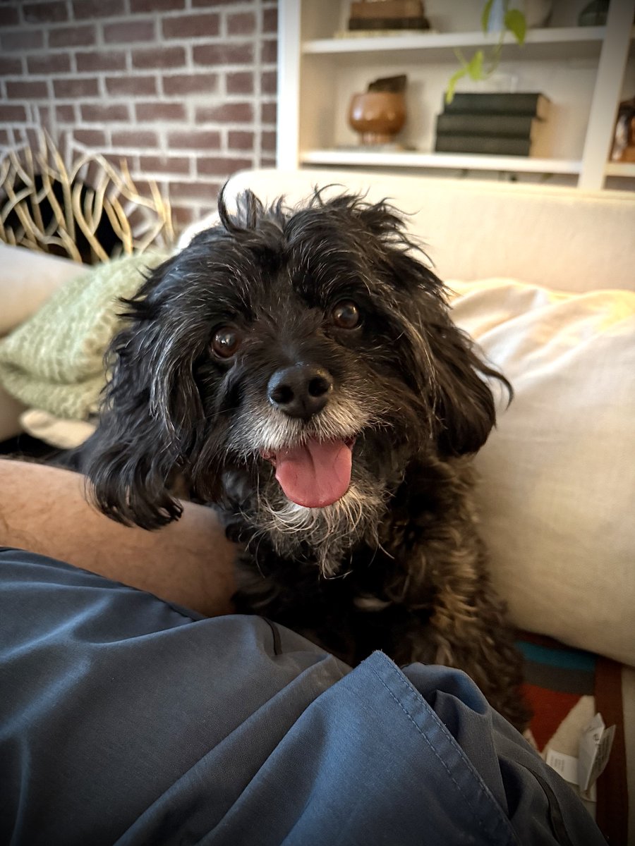 Eli McCann tweet media