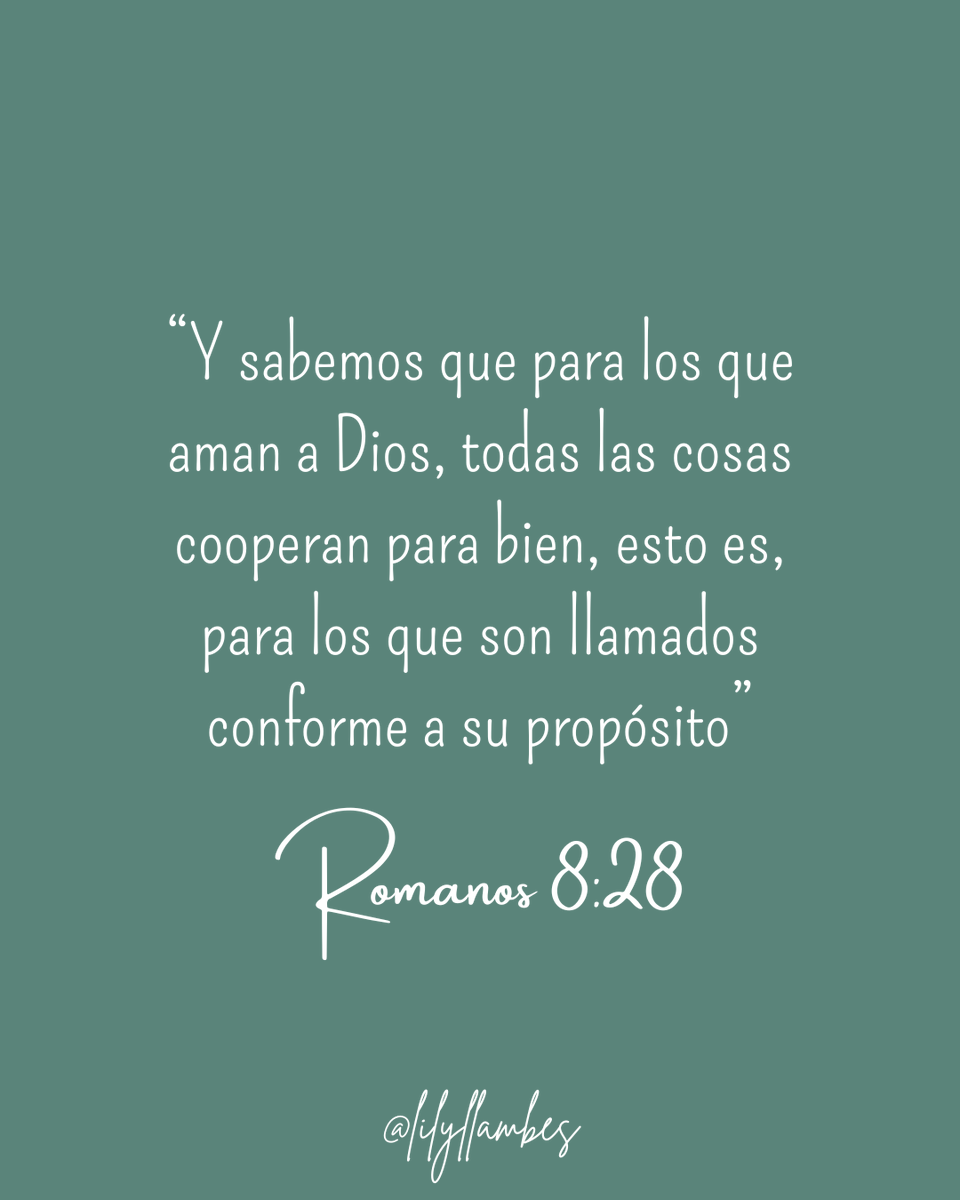 Lily Llambés tweet media