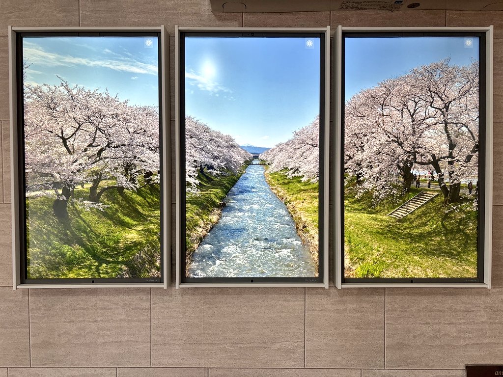 ame Cafeソフトクリームスイーツ専門店 tweet media