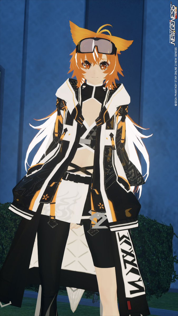 PSO2Raimu's tweet photo. 今晩23時〜明日の朝5時までフリ素します！FF外からでも大丈夫です！
24時まではいる予定なので話しかけていただいたら喜びます！（寝てたらすみません）
場所はネームレスシティ居住区画調査で全シップマッチングで以下の設定にしてください
パスワードraimuです

#PSO2NGS_SS 
#私はフリー素材です https://t.co/iDGXcs2WpI