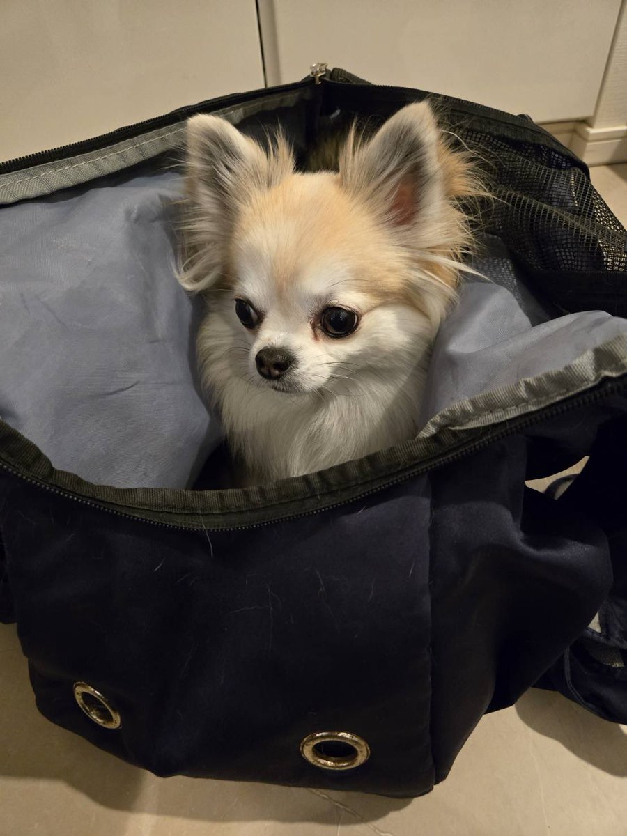 三木眞一郎 tweet media