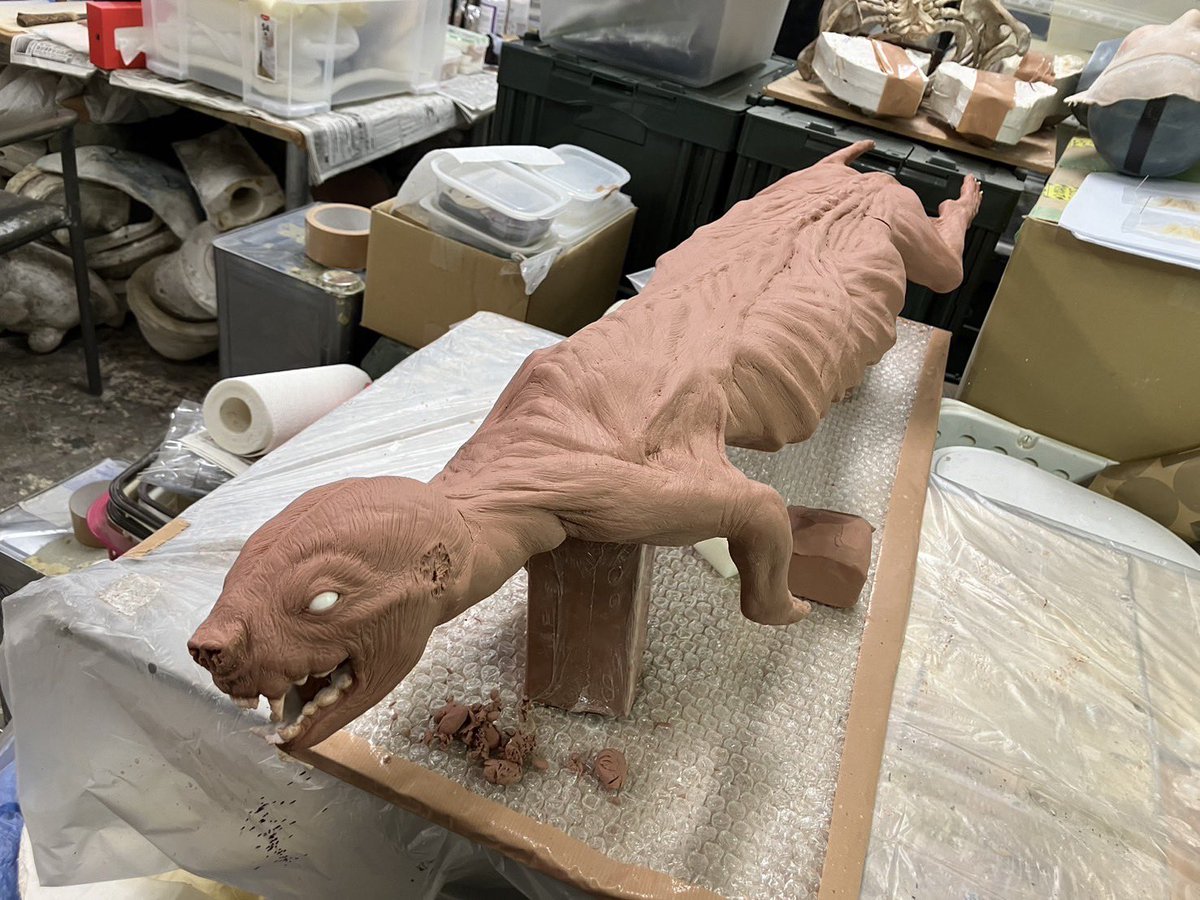 Tomo hyakutake tweet media