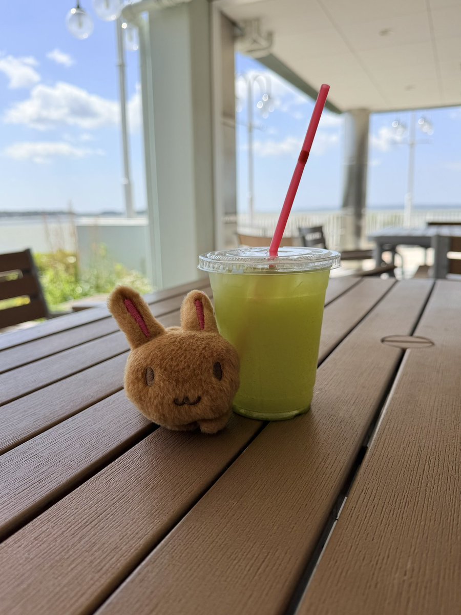 浜名湖SAで美味しいお茶飲んでる
目の前で淹れてくれてとっても贅沢なお品