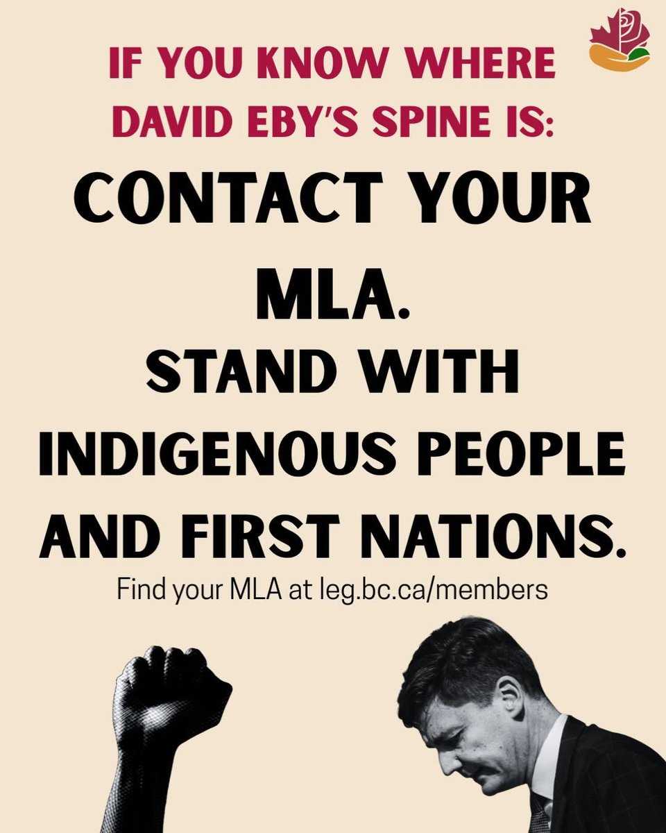 NDP Rose Caucus tweet media