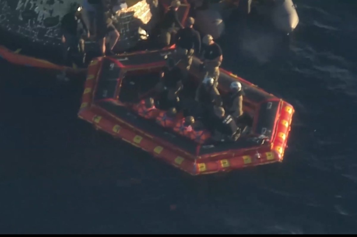 x - alex ! tweet media