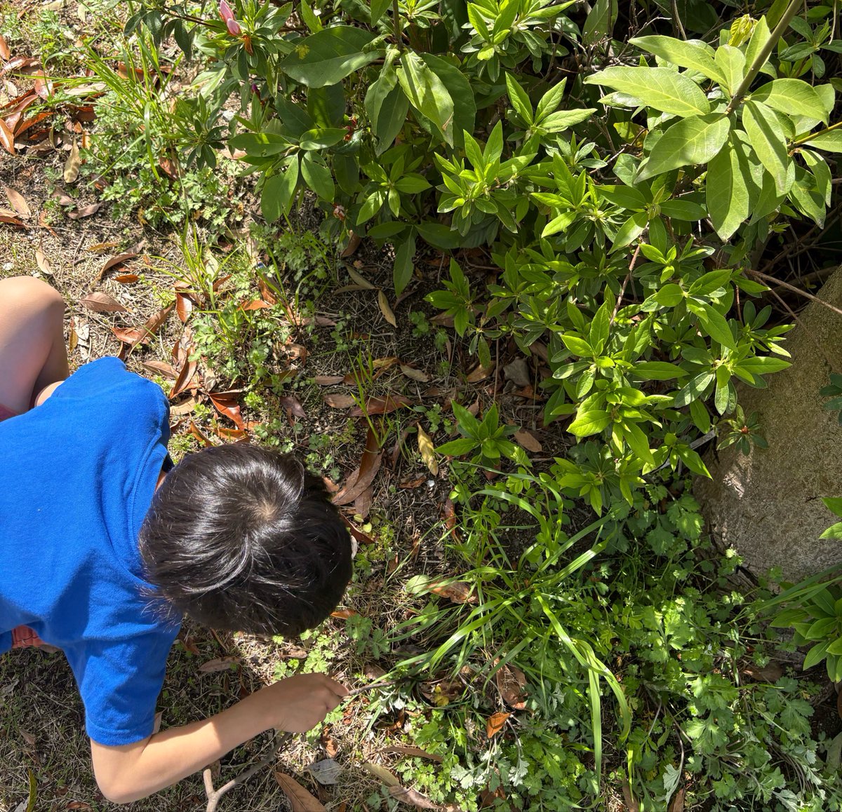 ワーママ先生【全国変態ICT効率化委員会】 tweet media