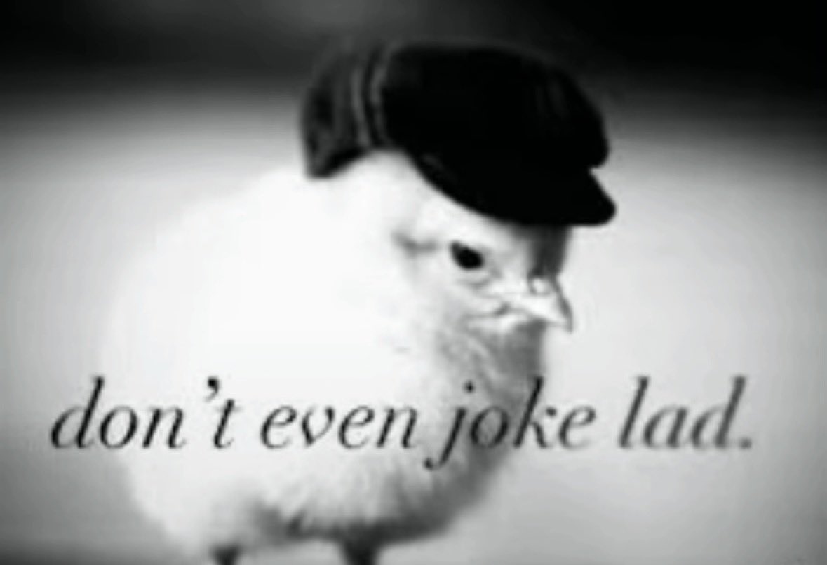 Ryan 🤥 tweet media