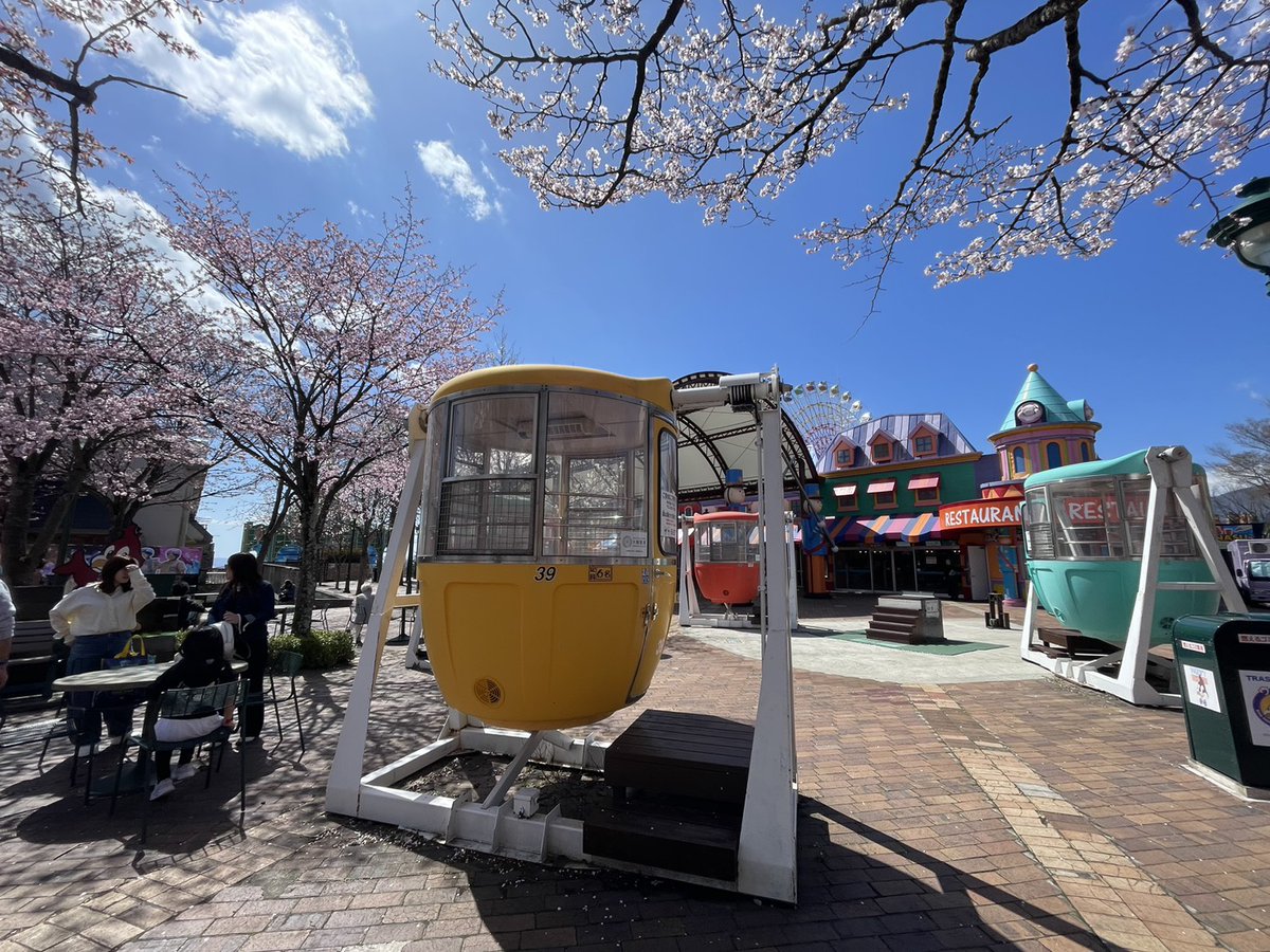 那須ハイランドパーク🎢🐶 tweet media