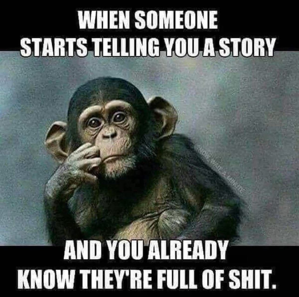 Shame a LibeRAT today tweet media