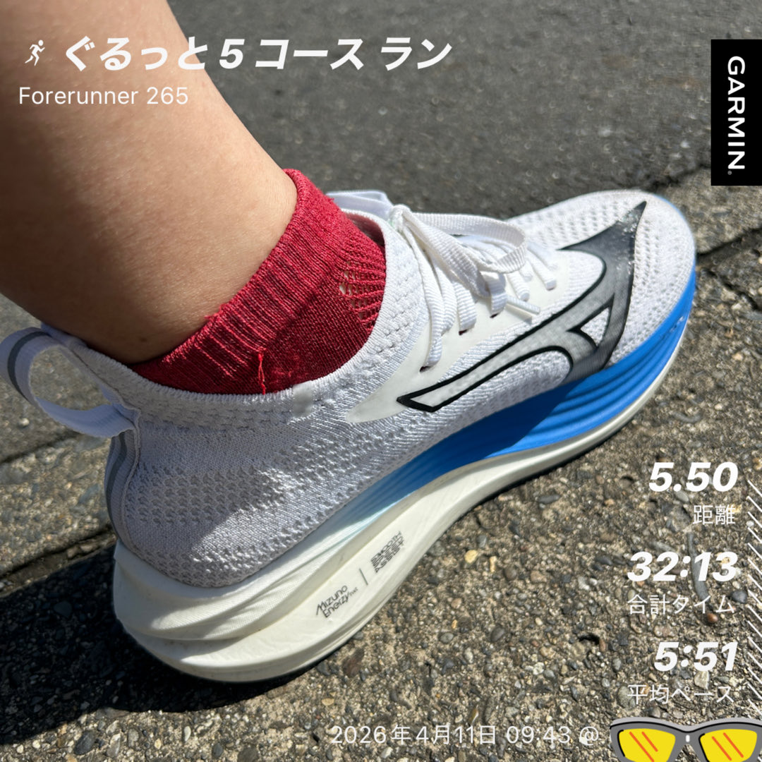 nichi_run's tweet photo. 3ラン👀 5.50km 5‘51/km
朝ラン🏃☀️気温は 18℃
おはようございます(^。^)2日ぶり-ラン😌
天候も良く気温も上がり暖かくなるのは
うれしい☺️けど....この時期にしては
ちょっと暑いかな...(。-∀-)
明日のレースもこのぐらいの気温だと
すぐバテそう😣
#ランニング #NEOZEN https://t.co/CmbcPgdJc5