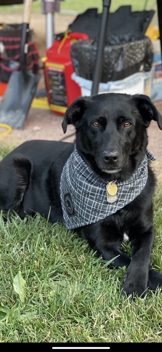 Brett L. Tolman tweet media